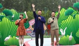 天涯最新爆料坠机视频,最新坠机视频惊现惊人细节