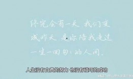 情感语录最新爆料文案,最新爆料，揭开心灵深处的故事