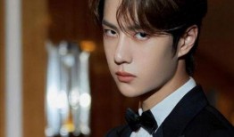 王一博赵丽颖爆料最新,揭秘娱乐圈背后的秘密与情感纠葛